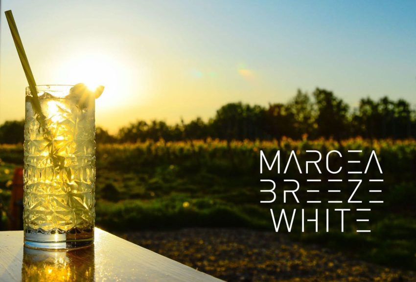 Winebar la Crama Marcea în perioada 1-4 mai! Distracție, dans și muzica bună! 3 492302929 1231559485640892 4263898841245037202 n - Winebar la Crama Marcea în perioada 1-4 mai! Distracție, dans și muzica bună!
