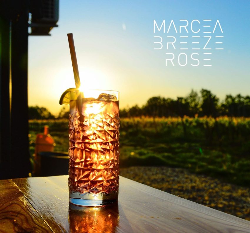 Winebar la Crama Marcea în perioada 1-4 mai! Distracție, dans și muzica bună! 2 492333164 1231559452307562 7159061449639346306 n - Winebar la Crama Marcea în perioada 1-4 mai! Distracție, dans și muzica bună!