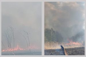 incendiu incendii vegetatie Argeș