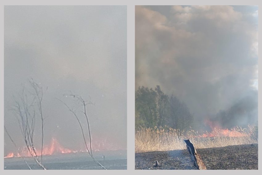 incendiu incendii vegetatie Argeș