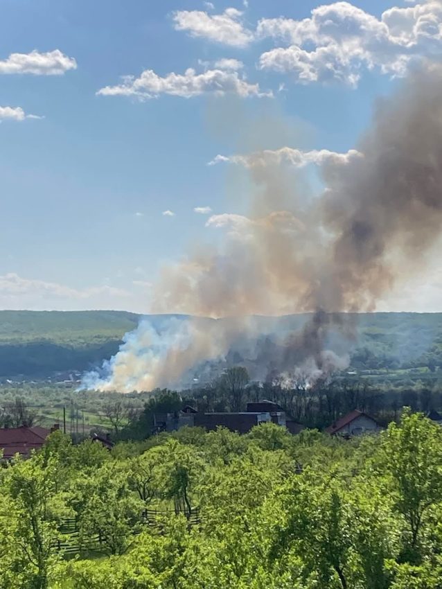 WhatsApp Image 2025 04 30 at 17.19.59 - Intervenție a pompierilor argeșeni la Merișani și Budeasa! Hectare de teren afectate de flăcări!
