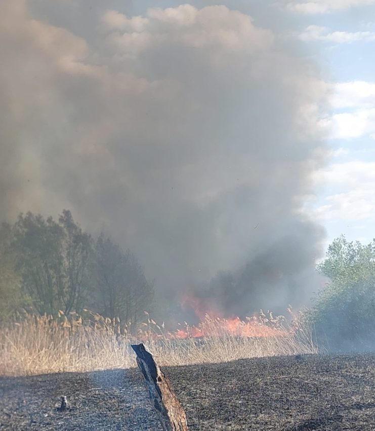 WhatsApp Image 2025 04 30 at 18.59.57 - Intervenție a pompierilor argeșeni la Merișani și Budeasa! Hectare de teren afectate de flăcări!