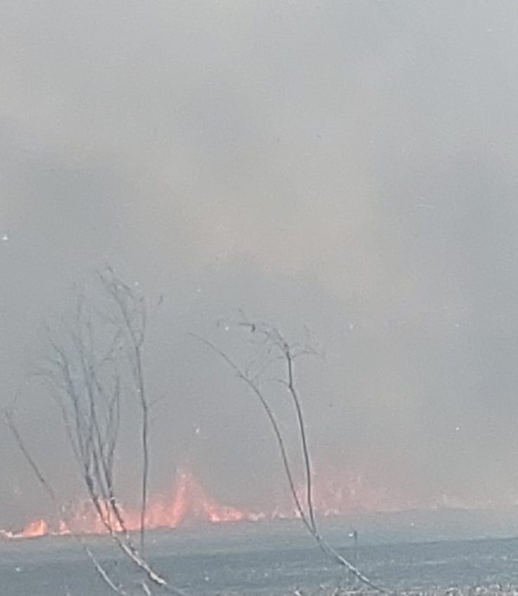 WhatsApp Image 2025 04 30 at 19.00.12 - Intervenție a pompierilor argeșeni la Merișani și Budeasa! Hectare de teren afectate de flăcări!