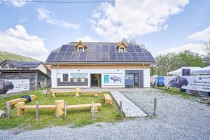 82 de zimbri și 62 de castori au fost reintroduși în Argeș prin proiectul LIFE 1 FCC Casa Zimbrului 21 - 82 de zimbri și 62 de castori au fost reintroduși în Argeș prin proiectul LIFE
