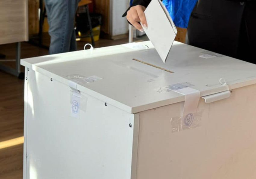 votare generic 2 Sursă foto: FB Ioana Facaleata.