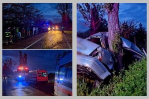 Untitled Project - Un șofer de 20 de ani a murit pe loc după ce a intrat cu mașina într-un copac