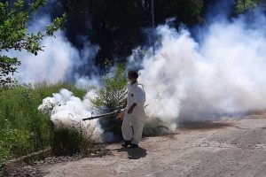 În atenţia cetăţenilor din Bascov! Acţiune de dezinsecţie în comună 1 dezinsectie