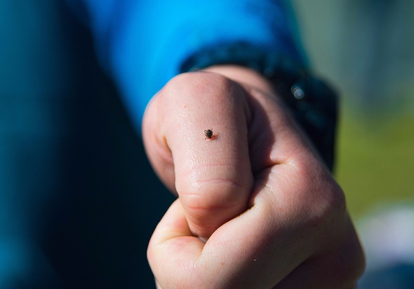 shutterstock-203377042