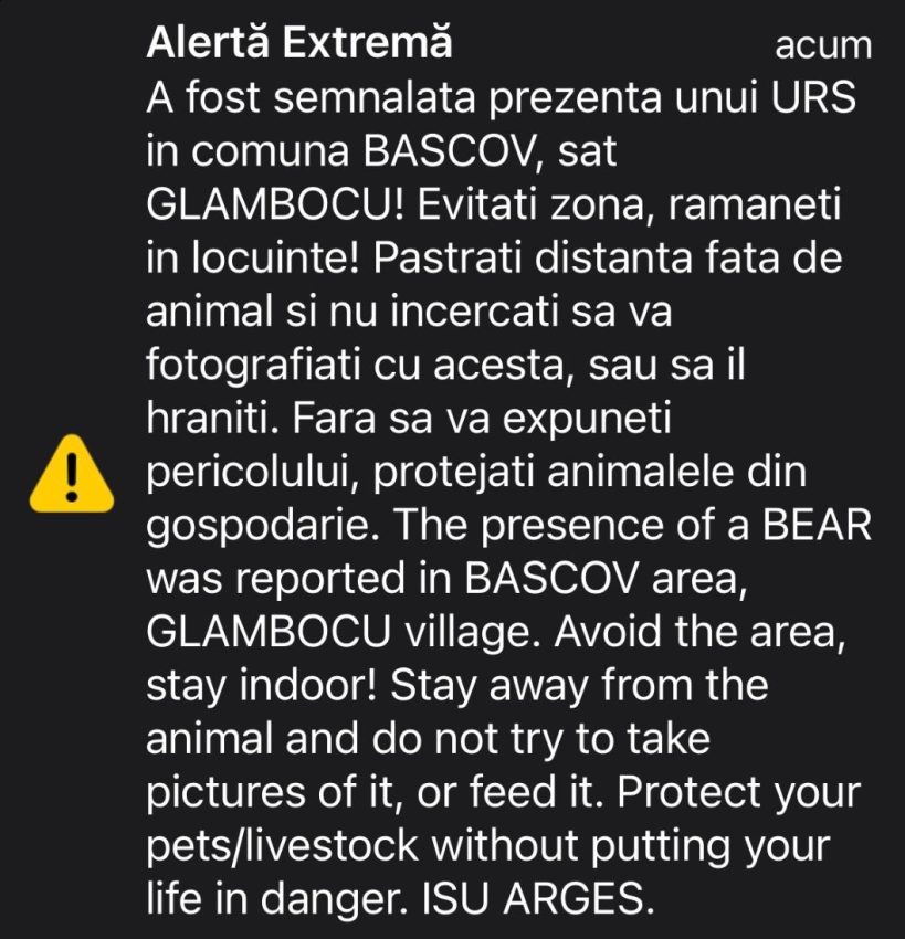 Alertă în comuna Bascov! A fost semnalată prezența unor urși! 1 WhatsApp Image 2025 05 11 at 21.42.18 - Alertă în comuna Bascov! A fost semnalată prezența unor urși!