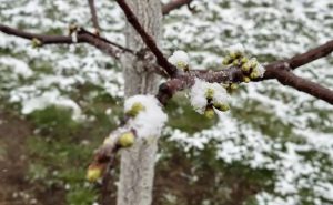 cats - Cum va fi vremea în următoarele patru săptămâni