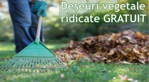 Ridicarea deșeurilor vegetale rezultate în urma curățeniei de primăvară: gratuită, cu respectarea regulilor! 1 Sursă foto: FB Primăria Municipiului Pitesti