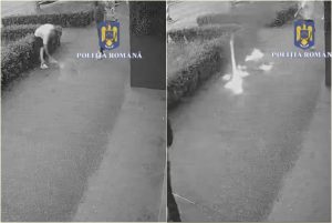 Comportament violent și amenințări cu focul într-o sală de jocuri din Pitești! Bărbat de 32 de ani reținut 1 page - Comportament violent și amenințări cu focul într-o sală de jocuri din Pitești! Bărbat de 32 de ani reținut