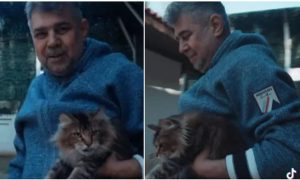 Nu vă păcăliți, Marcel a grăit! 1 ab7330a9 ea92 4d9e b281 23f264219946 - Nu vă păcăliți, Marcel a grăit!