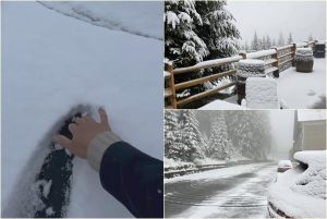 Peisaj de iarnă în mijlocul lui mai 1 page 2 - Peisaj de iarnă în mijlocul lui mai