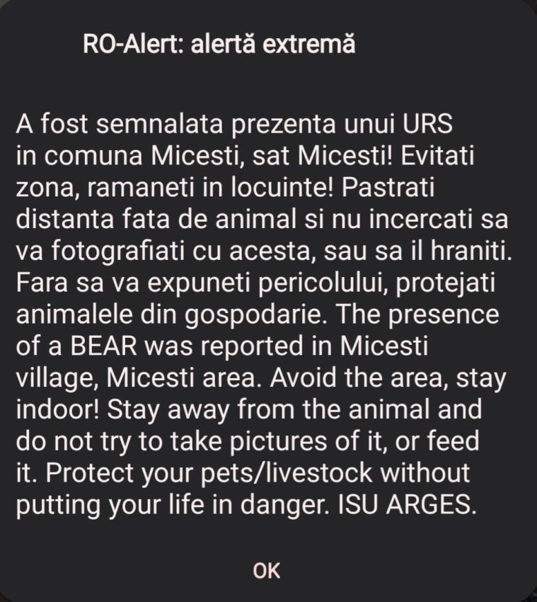 59e4962f 513f 40e7 b02b 492ef1c61a61 - A fost semnalată prezența unui urs în Micești