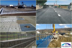 CDM Comastrad- Partener pentru un viitor solid 1 cats 2 - CDM Comastrad- Partener pentru un viitor solid