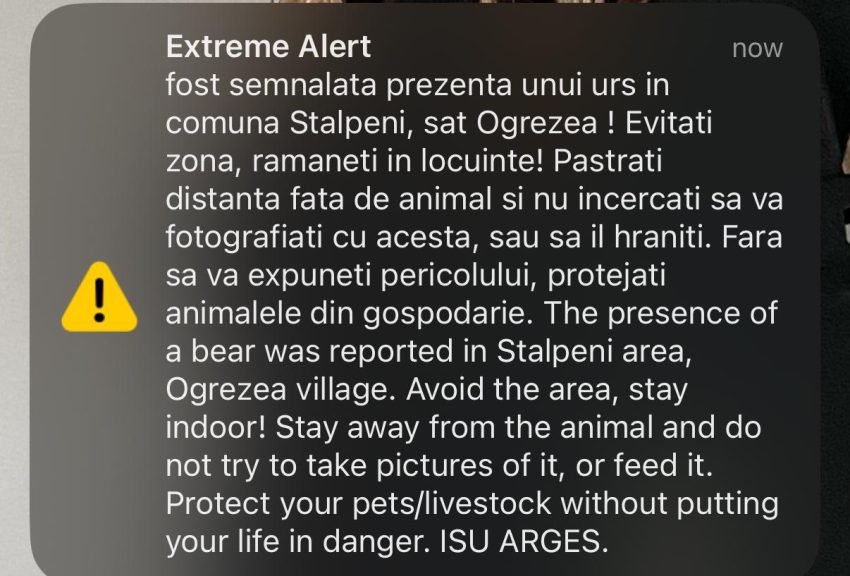 Mesaj RO-ALERT privind prezența unui urs într-o comună din Argeș 1 WhatsApp Image 2025 05 22 at 10.07.18 - Mesaj RO-ALERT privind prezența unui urs într-o comună din Argeș
