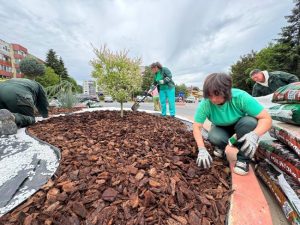 Sensuri giratorii reîmprospătate: Salpitflor reamenajează peisajul urban din Pitești 1 Sursă foto: FB Primăria Municipiului Pitești