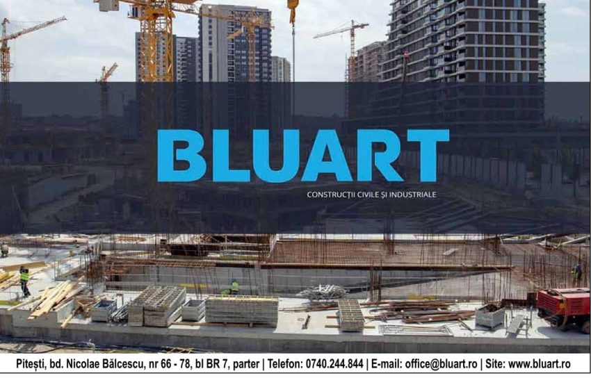 BLUART – Inovație și calitate în construcții 5 BLUART