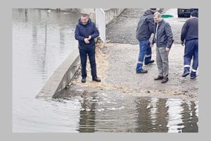 Untitled Project 3 - Bradu. Pescuitul interzis în lacurile din comună până în 2026