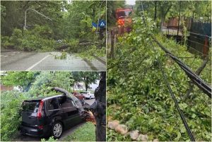 page - Vremea creează probleme în Pitești! Copaci căzuți, trafic blocat și o mașină avariată