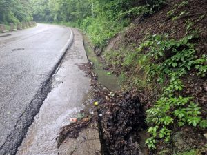 Sursă foto: Primăria Orașului Mioveni.