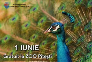 Atenție, părinți și bunici! Intrare gratuită la Grădina Zoologică din Pitești, de 1 iunie! 1 Sursă foto: Primăria Municipiului Pitești