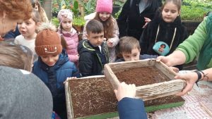 Educați de mici să îngrijească plantele. Peste 250 de elevi au fost la serele din Pitești 1 500955146 1140651201422559 9194771786532563294 n - Educați de mici să îngrijească plantele. Peste 250 de elevi au fost la serele din Pitești