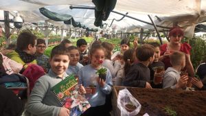 Educați de mici să îngrijească plantele. Peste 250 de elevi au fost la serele din Pitești 2 502515341 1140651054755907 4888635244327646552 n - Educați de mici să îngrijească plantele. Peste 250 de elevi au fost la serele din Pitești