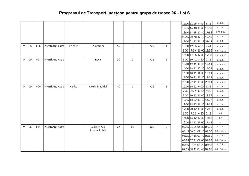 ARGEȘ. De la 1 iunie, intră în vigoare noul Program județean de transport persoane prin curse regulate 9 Lotul 6 2 - ARGEȘ. De la 1 iunie, intră în vigoare noul Program județean de transport persoane prin curse regulate