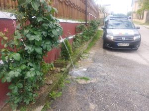 Controale în Pitești! Cetățeni amendați de polițiștii locali 2 WhatsApp Image 2025 05 30 at 19.23.25 3 - Controale în Pitești! Cetățeni amendați de polițiștii locali