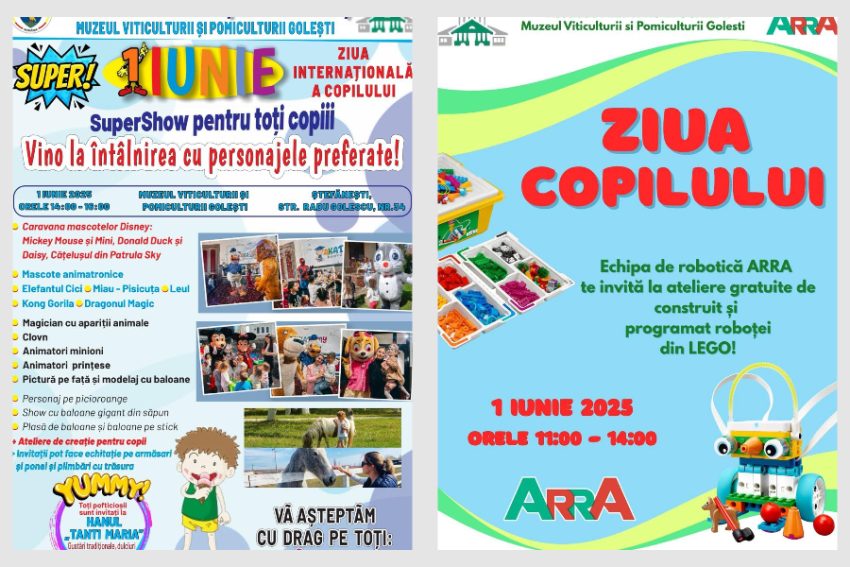 ziua copilului 1 iunie la stefanesti muzeu