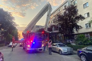 70c21917 58eb 417c a53b 681d1ffafa4e - Panică într-un cartier din Pitești din cauza albinelor!