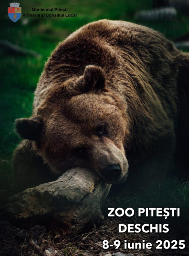 Zoo Pitești - deschisă spre vizitare, de Rusalii! 1 Sursă foto: Primăria MUnicipiului Pitești.