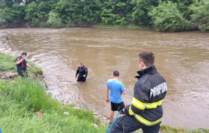 O fetiţă de 3 ani este căutată de pompieri după ce ar fi căzut în râul Târnava Mare 1 cats 2 - O fetiţă de 3 ani este căutată de pompieri după ce ar fi căzut în râul Târnava Mare