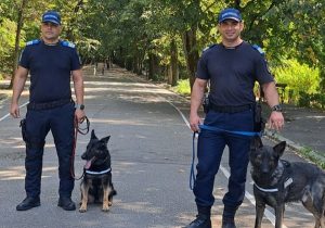 2057e179 f380 4a9a aa62 08c044fa6e9c - Minivacanță în siguranță! Jandarmii argeșeni vor fi la datorie de Rusalii