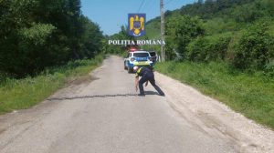 2a4b70c7 63de 4f6f a5a7 5250c322077d - Urmărire ca în filme pe străzile din Argeș! Șoferiță oprită cu dispozitivul Spike