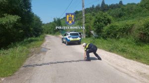 bb672f72 522d 49eb 826d c846fe704c74 - Urmărire ca în filme pe străzile din Argeș! Șoferiță oprită cu dispozitivul Spike