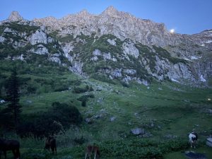 505425885 1151376743683538 289828533461865758 n - Aventura cu cortul, întreruptă de un urs flămând. Momente de panică pentru o familie cu doi copii