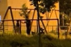 Bărbatul care și-a agresat soția în parc, de față cu copilul lor - a fost arestat pentru 30 de zile! 1 cats 3 - Bărbatul care și-a agresat soția în parc, de față cu copilul lor - a fost arestat pentru 30 de zile!