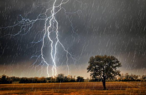 f1731b68-1a0d-437d-93a1-21432def0909