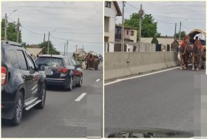 Bărbat din Berevoești, amendat după ce a mers cu căruța pe contrasens pe DN 73 1 cats - Bărbat din Berevoești, amendat după ce a mers cu căruța pe contrasens pe DN 73