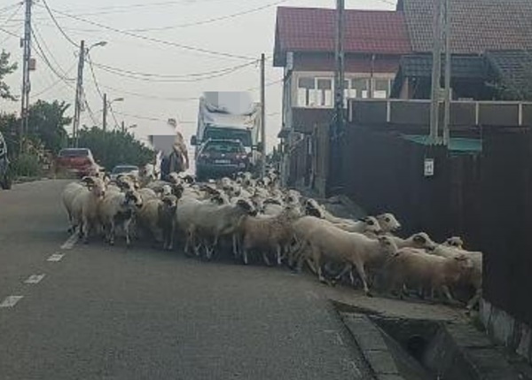 2dd9853d-ce54-4029-88f6-3ad561711295