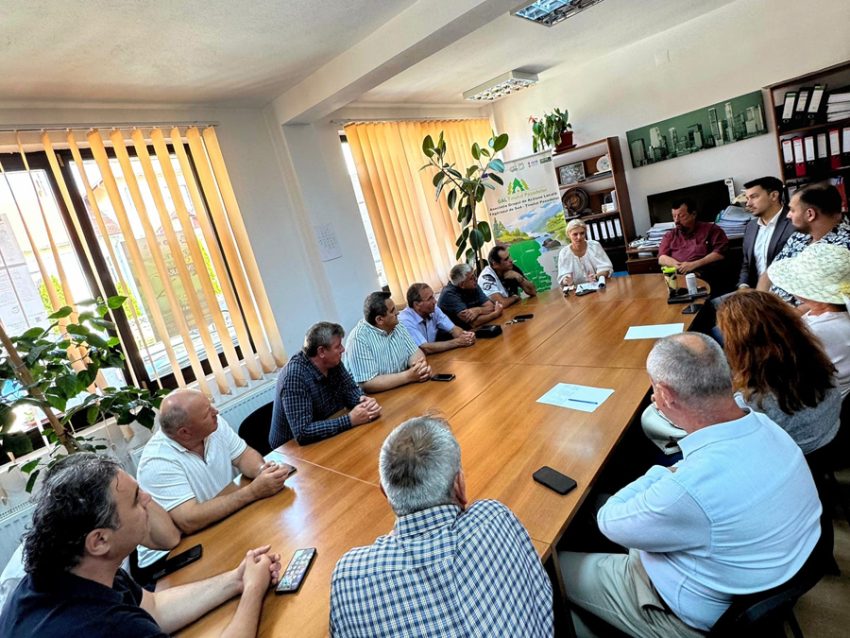 pnl intalniri zonale cicanesti 2 Sursă foto: FB Alina Gorghiu