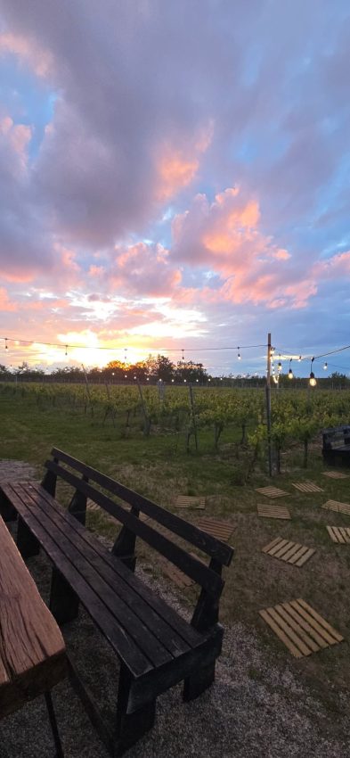 Crama Marcea - Programul evenimentelor din perioada 19-22 iunie 6 Crama Marcea Stefanesti