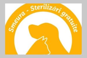 sterilizari Bradu