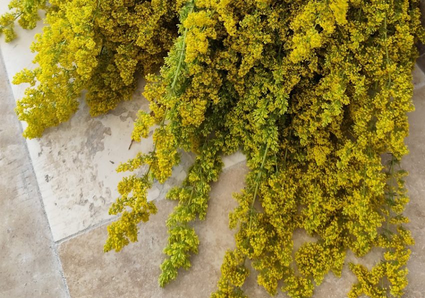 Tradiție și autenticitate la Mioveni: eveniment dedicat Zilei Universale a Iei și valorilor culturale românești 6 Sursă foto: FB Primăria Orașului Mioveni.