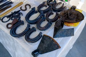 Sursă foto: FB Primăria Orașului Mioveni.