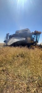 Incendiu în Bârla! Vegetația uscată și o combină de treierat, cuprinse de flăcări 2 94b63523 ca42 48ac 95a3 5ac52237f2c6 - Incendiu în Bârla! Vegetația uscată și o combină de treierat, cuprinse de flăcări