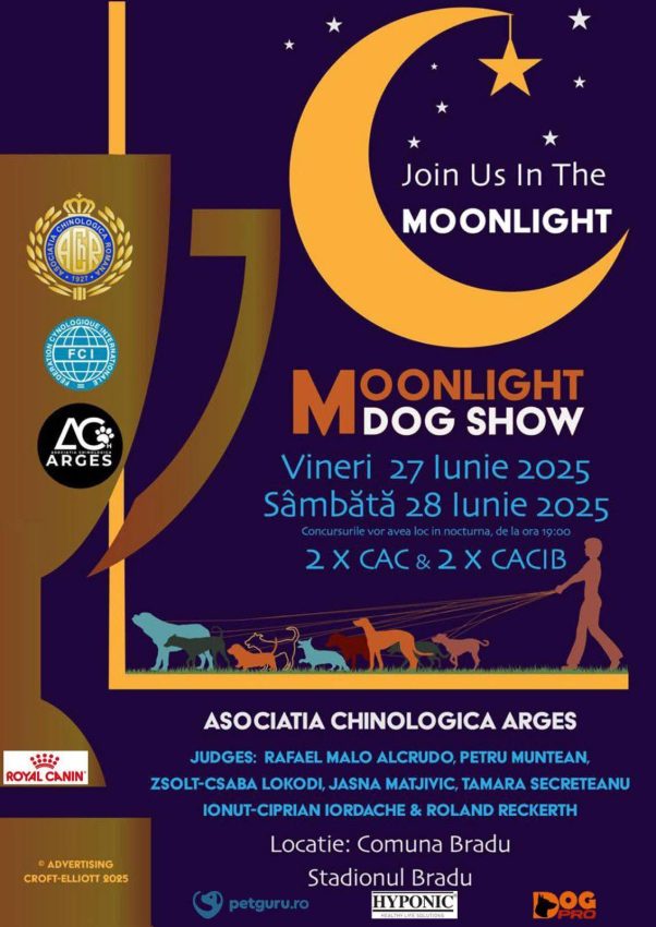 Competiție canină în nocturnă, în acest weekend la Bradu 1 MOONLIGHT DOG SHOW la Bradu